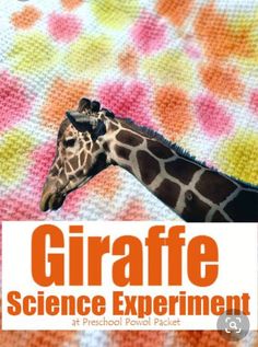 giraffe science experiment for preschool and pre - school students with text overlay