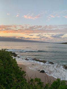 an ocean view with waves crashing on the shore and trees in the foreground at sunset