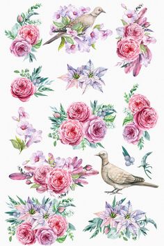 watercolor flowers and birds on a white background with pinks, purples, and green leaves