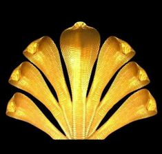 an image of a golden shell on a black background