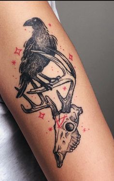 a black bird sitting on top of a deer's head next to a skull