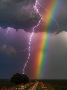 a rainbow appears to be in the sky above a dirt road and field with wildflowers