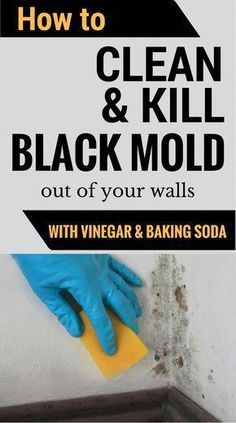 how to clean and kill black mold out of your walls