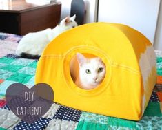 two cats laying on top of a bed with a yellow tunnel in the shape of a cat house