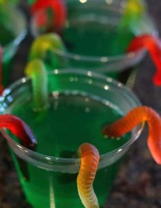 the caterpillars are sitting in cups on the table