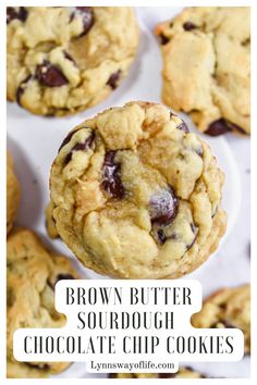 brown butter sourdough chocolate chip cookies on a white plate with the words, brown butter sourdough chocolate chip cookies