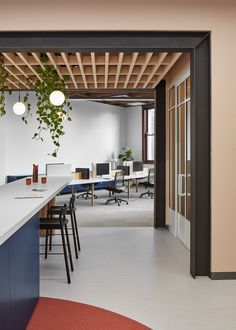 an open office space with plants hanging from the ceiling and desks on either side