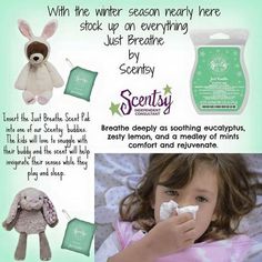 an advertisement for the scenty company with pictures of stuffed animals and other things in it