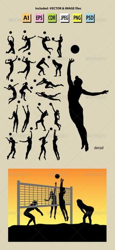 the silhouettes of people playing volleyball at sunset or dawn - sports / activity conceptual