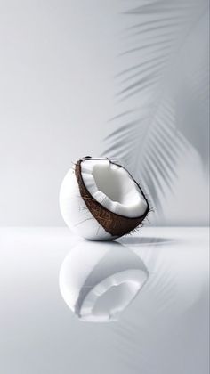 a coconut sitting on top of a table next to a shadowless wall with a palm leaf