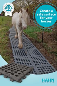 a white horse is walking down a path