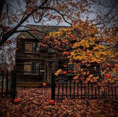 an old wooden house surrounded by leaves and pumpkins