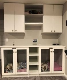 two dogs are sitting in their kennels on top of the floor and under the cabinets