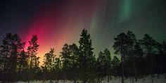 an aurora bore is seen in the sky above some trees and snow covered ground with bright lights