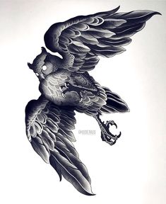 a drawing of a bird with wings on it's back