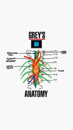 the anatomy of an animal's body