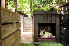 a small dog is sitting in his wooden crate on the grass next to some flowers