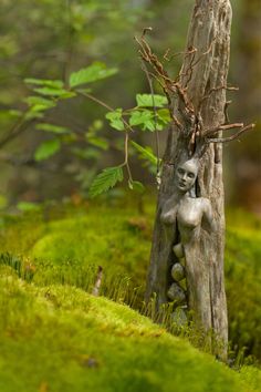 a small statue sitting on top of a tree stump in the forest next to a moss covered ground