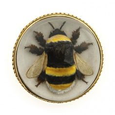 a yellow and black bee in a glass bowl on a white surface with gold trimmings