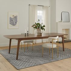 a dining room table with two chairs and a potted plant on the rug in front of it