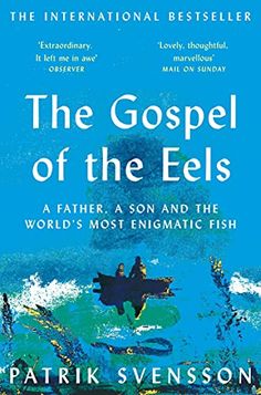 the book cover for the gospel of the els