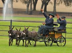 two women riding in a horse drawn carriage with the caption, democratic party neoliberalism or bust