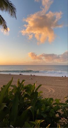 the sun is setting at the beach with palm trees in foreground and people on the water