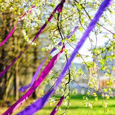 purple streamers are hanging from the branches of a tree