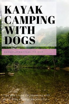 kayak camping with dogs in the mountains and trees, text overlay reads kayak camping with dogs