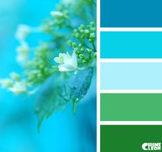 the color scheme is blue and green, with white flowers in it's center