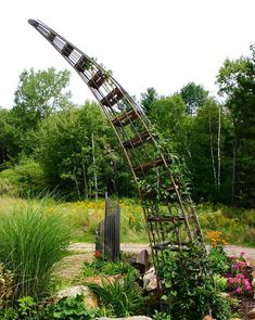 a ladder that is sitting in the middle of some flowers and plants with trees in the background