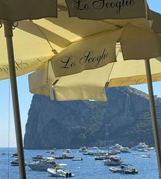 many boats are in the water and some umbrellas have writing on them that read la fogolie