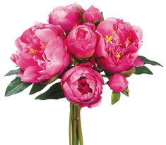 a bunch of pink flowers in a vase on a white background with clippings