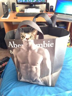 a cat sitting in a shopping bag with an ad on it's front and back