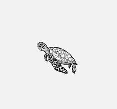 a black and white drawing of a turtle