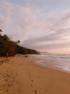 two people walking on the beach with footprints in the sand and palm trees behind them