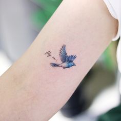 Small Blue Bird Tattoos For Women, Small Bird Wrist Tattoo, Tiny Blue Bird Tattoo, Simple Blue Bird Tattoo, Blue Bird Of Happiness Tattoo, Blue Bird Tattoo Black And White, Bluebird Tattoo Meaning, Bluejay Tattoo