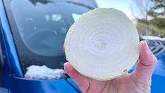 a person holding an onion in front of a blue car with snow on the hood