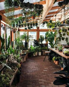 the inside of a greenhouse filled with lots of potted plants and hanging planters