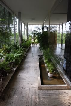 the inside of a house with plants and water running through it's floor to ceiling windows