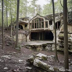 an abandoned house in the woods with large windows and no doors on it's sides