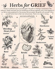 Herbs For Mental Health, Witchy Healing, Allow Yourself To Feel, Nature Healing, Medical Herbs, Healing Magic, Witch Spirituality, Magic Herbs, Magical Herbs