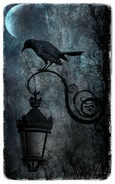 a bird sitting on top of a lamp post in front of a moon filled sky