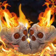 there are two skulls in the middle of fire with their tongues sticking out from them