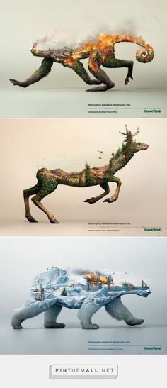 three different views of an animal with fire coming out of it's back legs