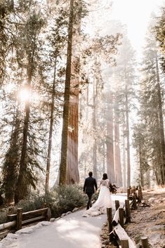 a bride and groom walk through the snow in front of giant sequta trees