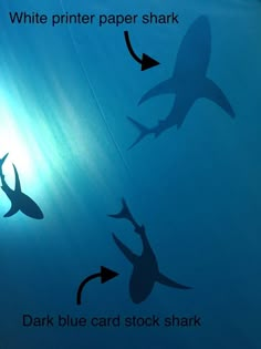 three sharks are swimming in the water with their shadow on the wall and below them is an arrow pointing to white paper shark