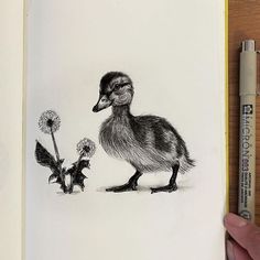 ink animal drawing Duckling Tattoo Baby Ducks, Duckling Drawing Easy, Duck And Ducklings Drawing, Duckling Drawing, Duckling Doodle, Duckling Sketch, Duck Drawing, Matching Tats