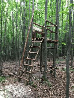 an old wooden ladder in the middle of a forest