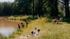 several people are sitting on the grass near a body of water, with trees in the background